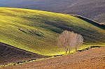 Gaberthuel Walter-Idillico Autunno